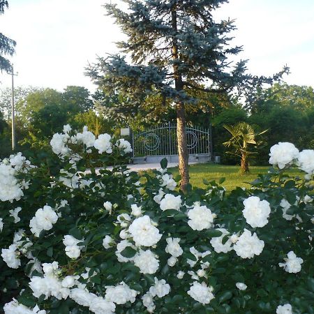 L'Albero Della Gioia Bed and Breakfast Villanova sull'Arda Exterior foto