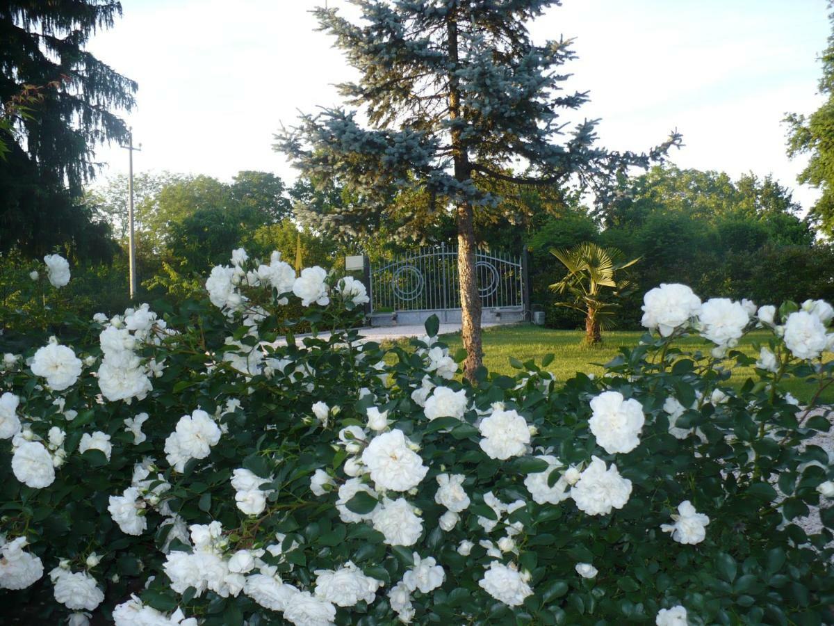 L'Albero Della Gioia Bed and Breakfast Villanova sull'Arda Exterior foto