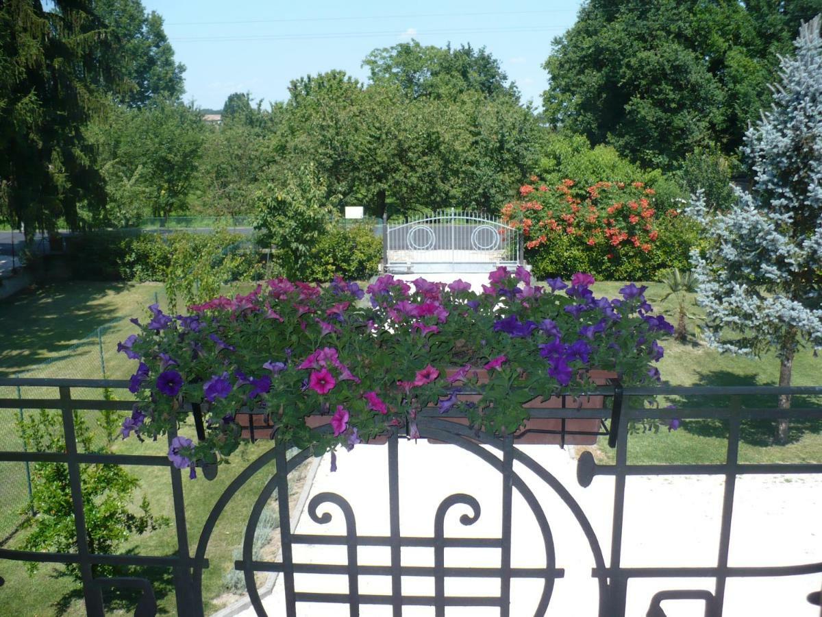 L'Albero Della Gioia Bed and Breakfast Villanova sull'Arda Exterior foto