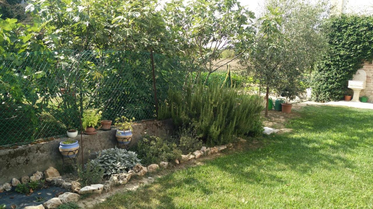 L'Albero Della Gioia Bed and Breakfast Villanova sull'Arda Exterior foto